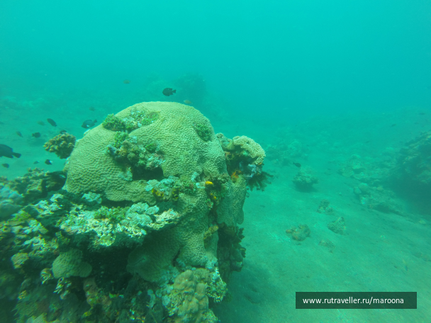 photo 1411754