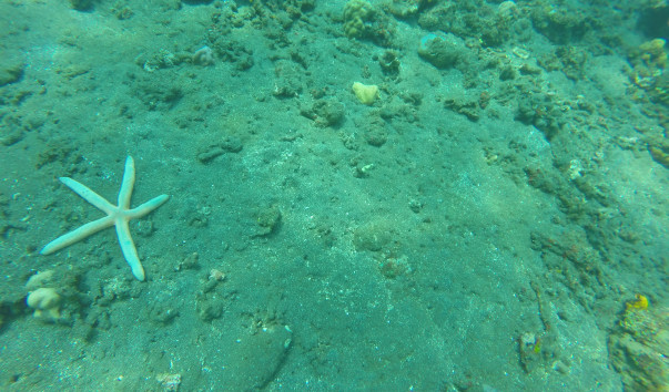 GOPR0462