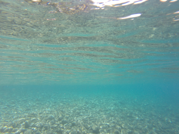 photo 1411759