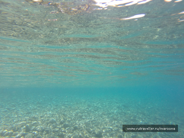 photo 1411759
