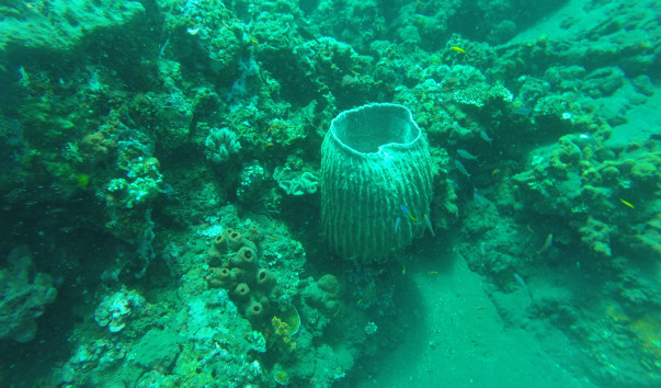 GOPR0430