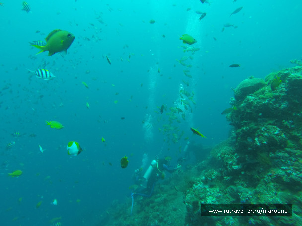 photo 1411763