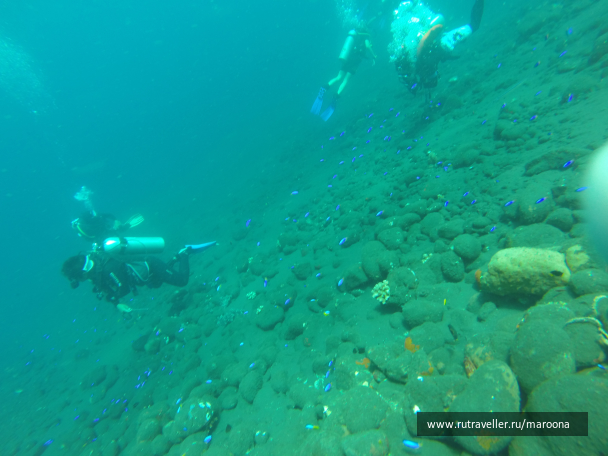 photo 1411766