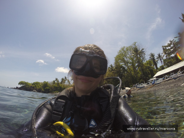 photo 1411767