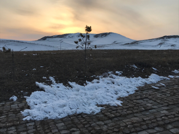 photo 1457834