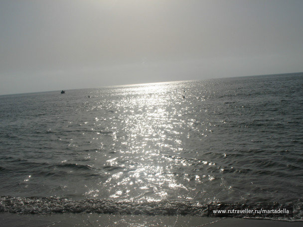 photo 339758