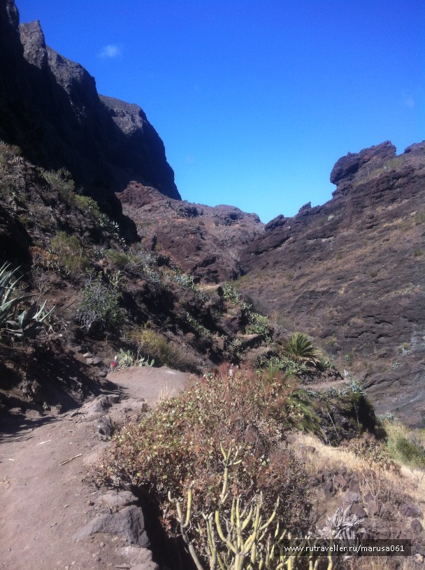 photo 1645621