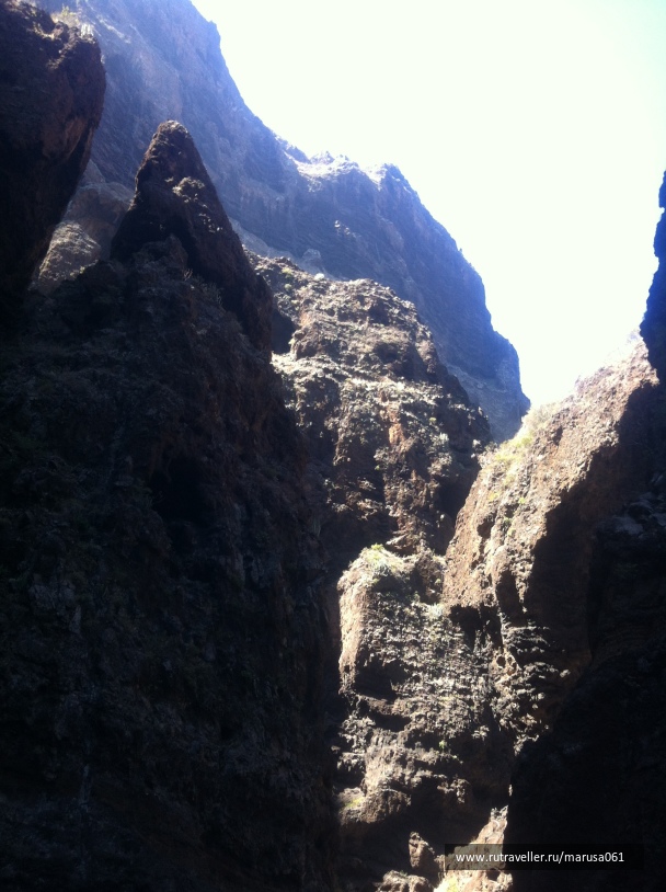 photo 1645622