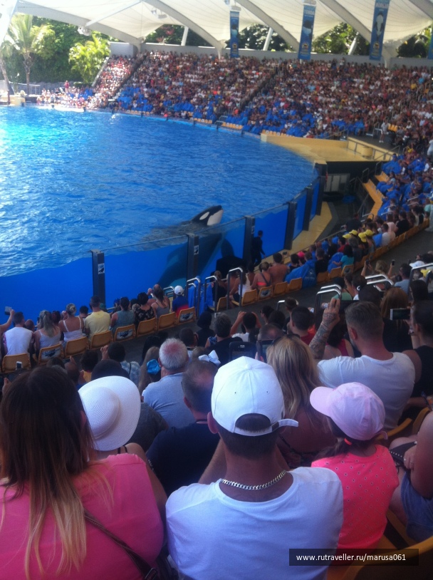 photo 1645628