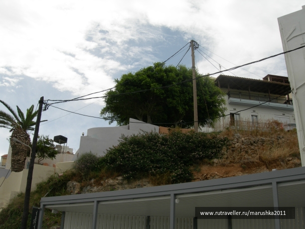 photo 753820