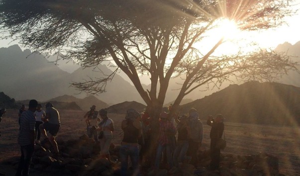 PHOT0592