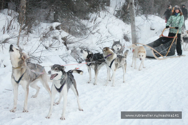 photo 620930