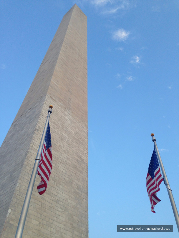 photo 1172555