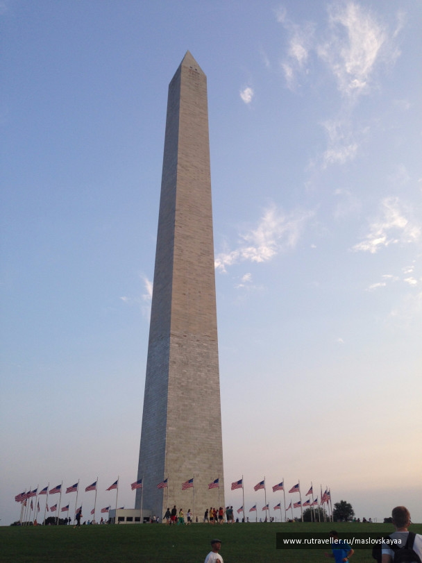 photo 1172558
