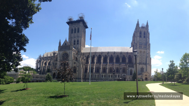 photo 1172569