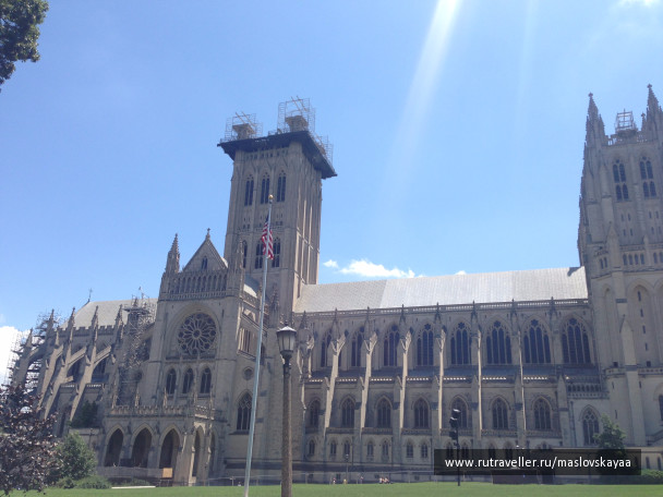 photo 1172570