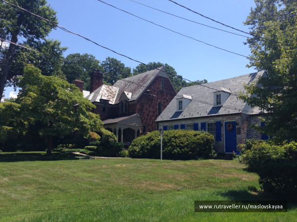 photo 1172572