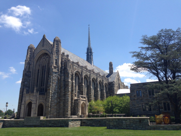 photo 1172574