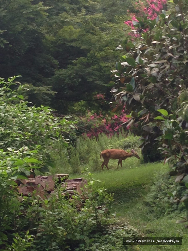 photo 1172576