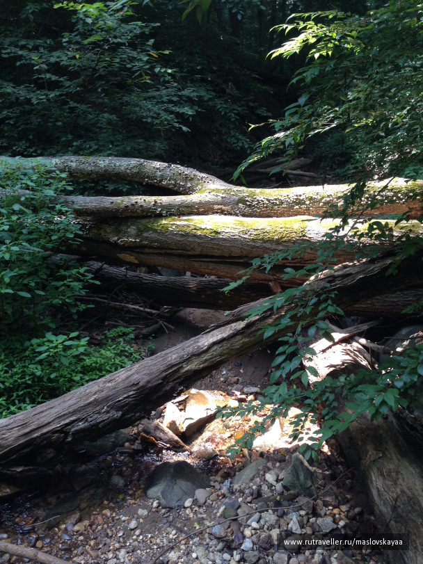 photo 1172577