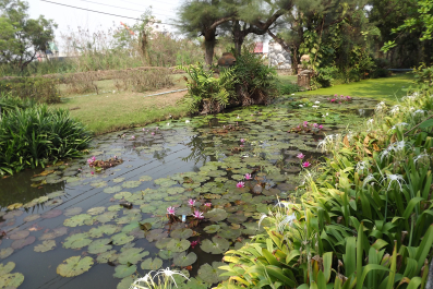 photo 1466807