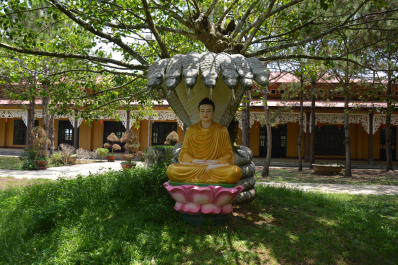 photo 1467376