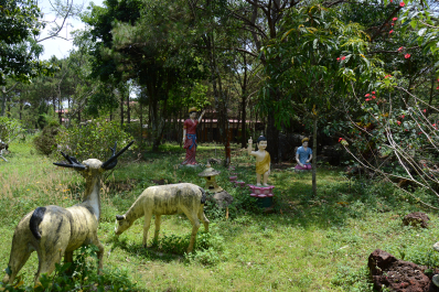 photo 1467378