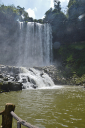 photo 1467398