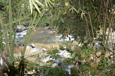 photo 1467404