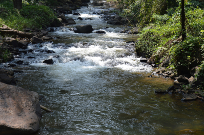 photo 1467406