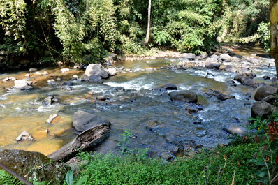 photo 1467407