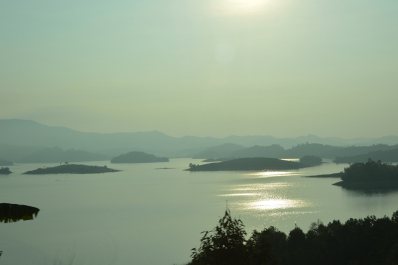 photo 1467412