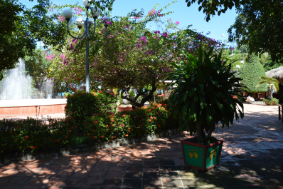 photo 1467572