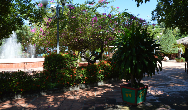 DSC_7541