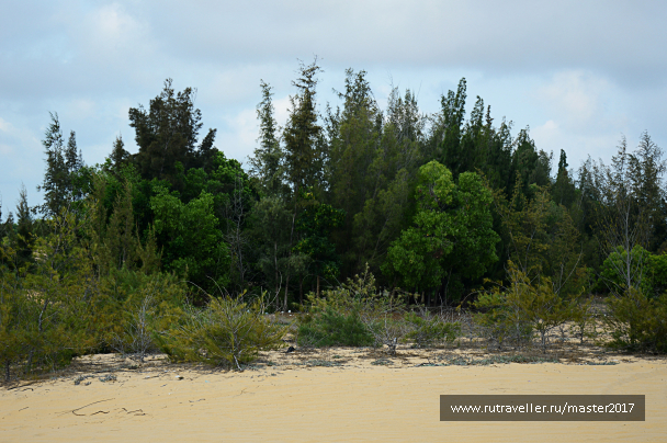 photo 1623356