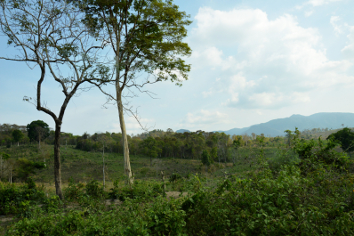 photo 1665760