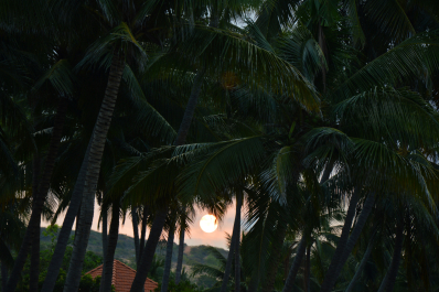 photo 1733091