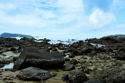 photo 1578029