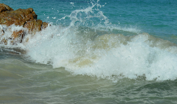 DSC_7531