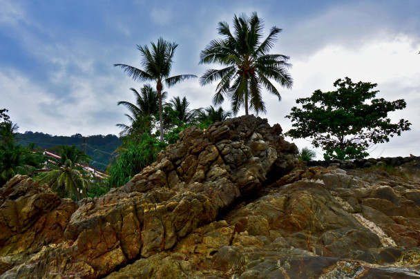 photo 1879656