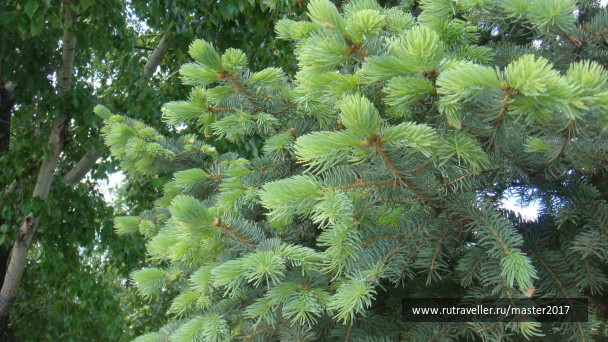 photo 1468120
