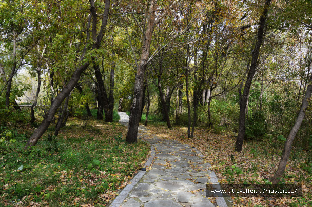 photo 2137143