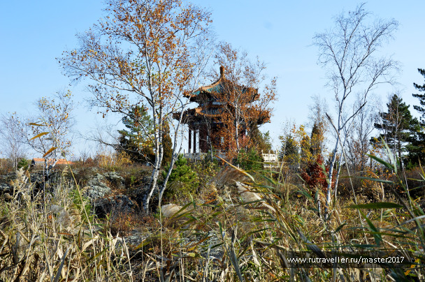 photo 2137331