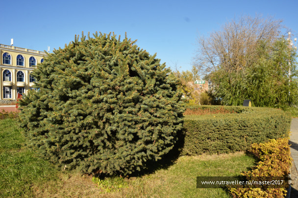 photo 2137734