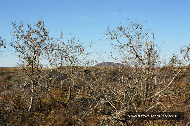 photo 2137738