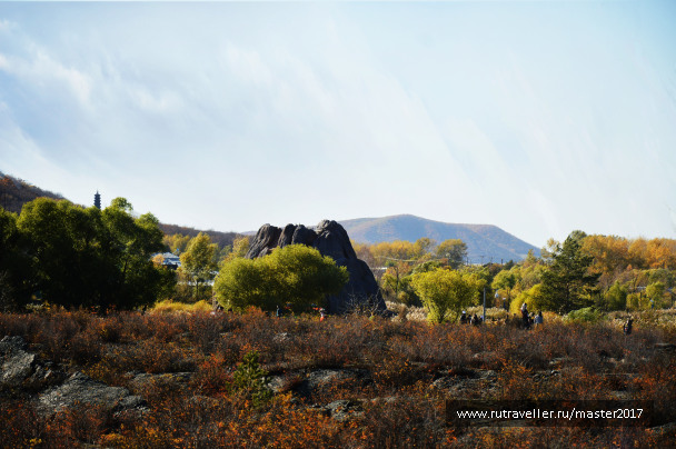 photo 2137739