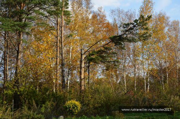 photo 2137950