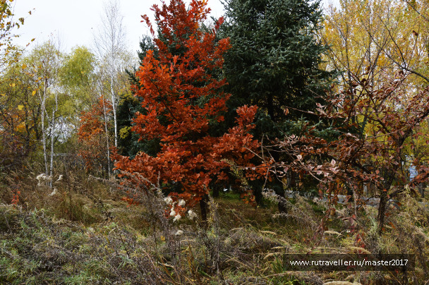 photo 2138351