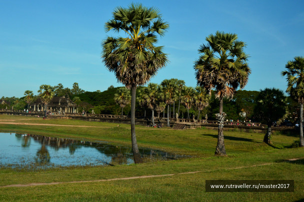 photo 1742170