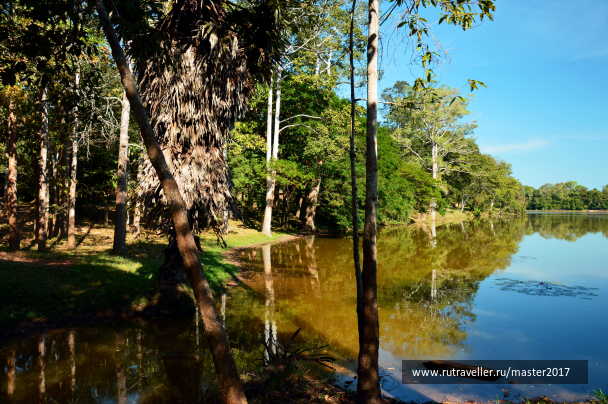 photo 1742182